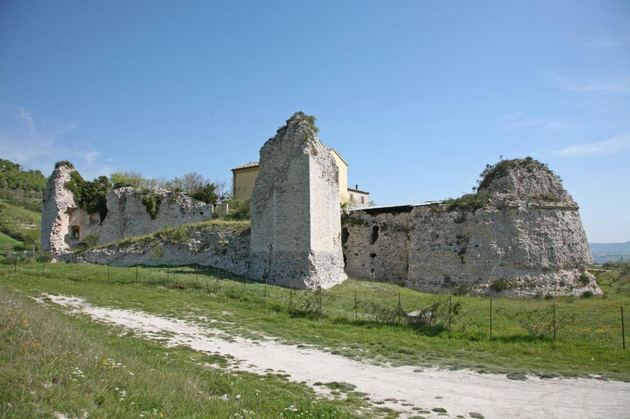 Il Cavallino * Fossombrone